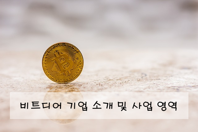 비트디어 기업 소개 및 사업 영역