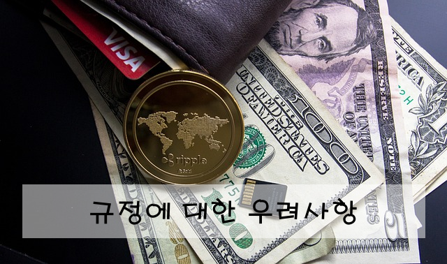 규정에 대한 우려사항