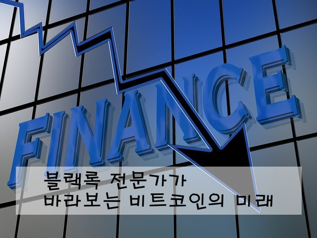블랙록 전문가가 바라보는 비트코인의 미래