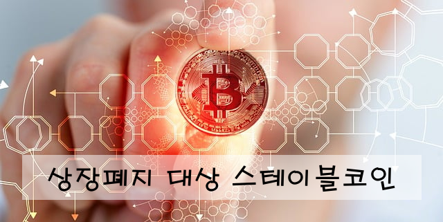 상장폐지 대상 스테이블코인