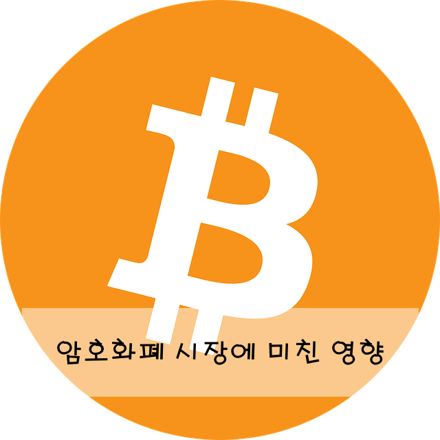 암호화폐 시장에 미친 영향