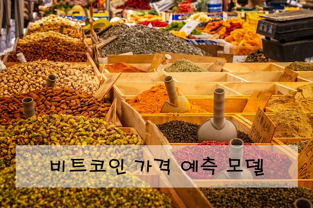 비트코인 가격 예측 모델