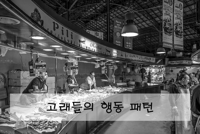 고래들의 행동 패턴