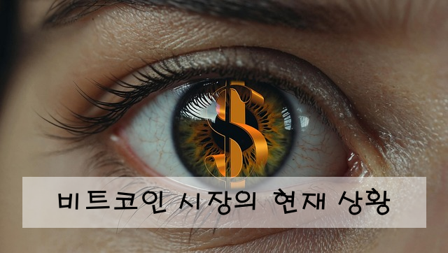 비트코인 시장의 현재 상황
