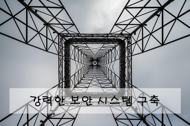 강력한 보안 시스템 구축