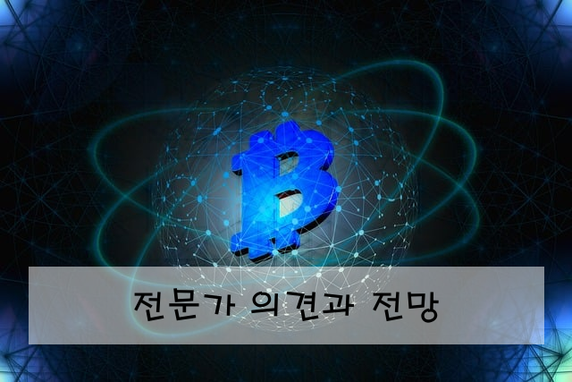 전문가 의견과 전망