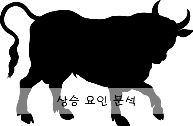 상승 요인 분석