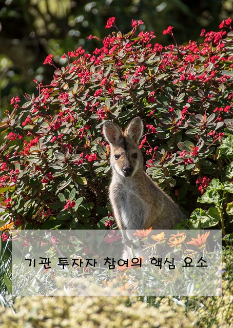기관 투자자 참여의 핵심 요소