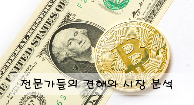 전문가들의 견해와 시장 분석
