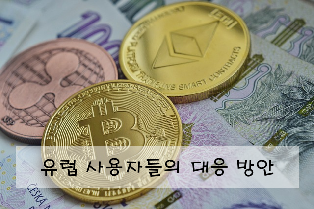 유럽 사용자들의 대응 방안
