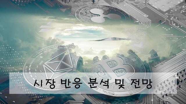 시장 반응 분석 및 전망