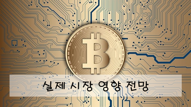 실제 시장 영향 전망