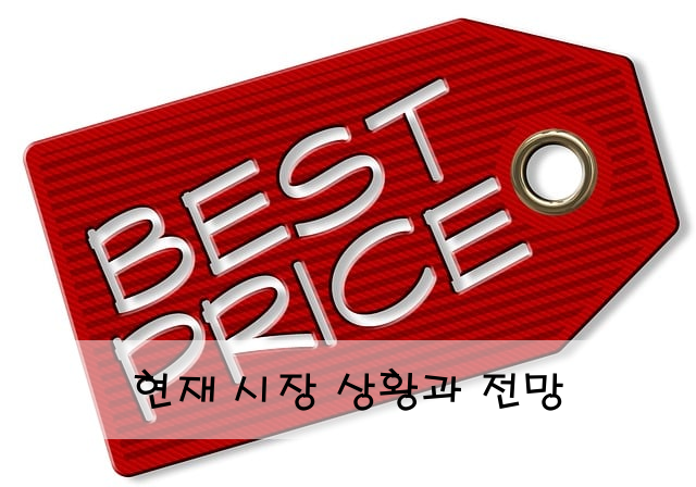 현재 시장 상황과 전망