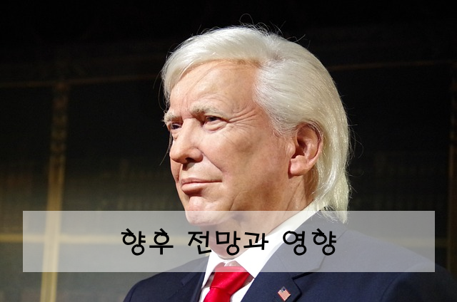 향후 전망과 영향