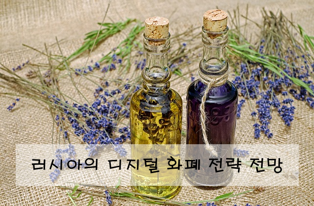 러시아의 디지털 화폐 전략 전망