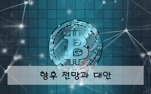 향후 전망과 대안