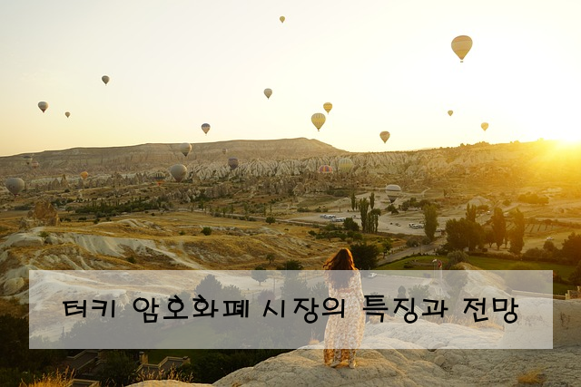 터키 암호화폐 시장의 특징과 전망
