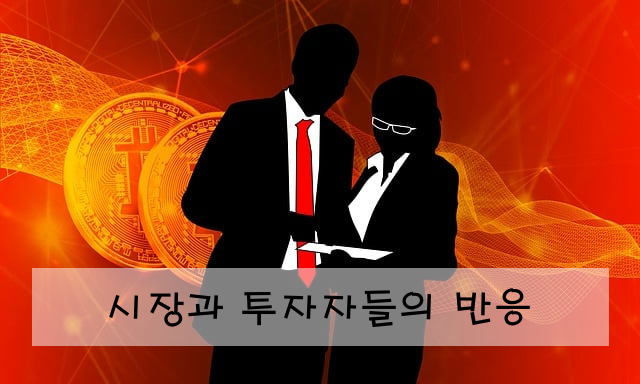시장과 투자자들의 반응
