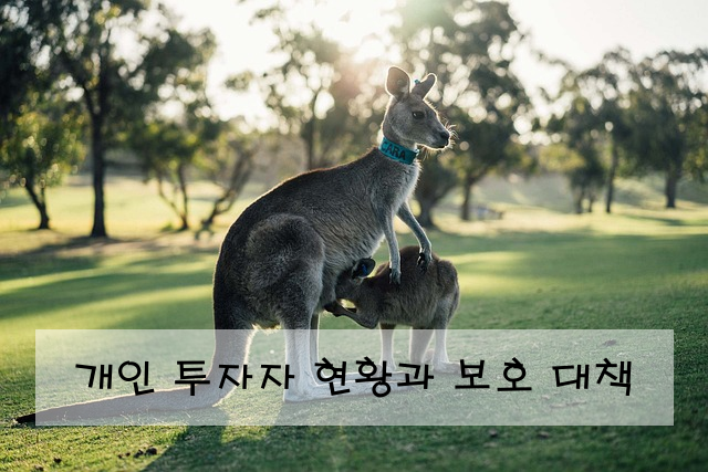 개인 투자자 현황과 보호 대책