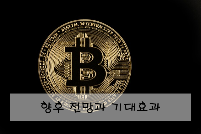 향후 전망과 기대효과