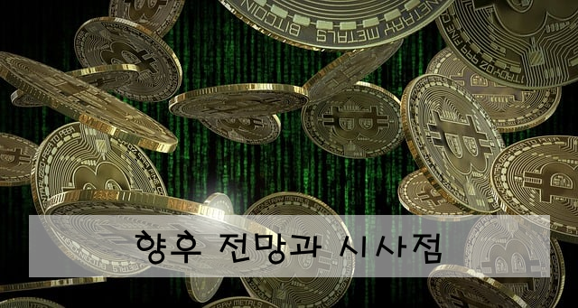 향후 전망과 시사점