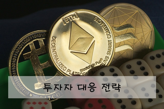 투자자 대응 전략