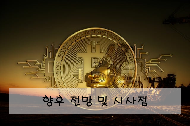 향후 전망 및 시사점