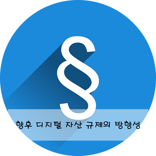 향후 디지털 자산 규제의 방향성
