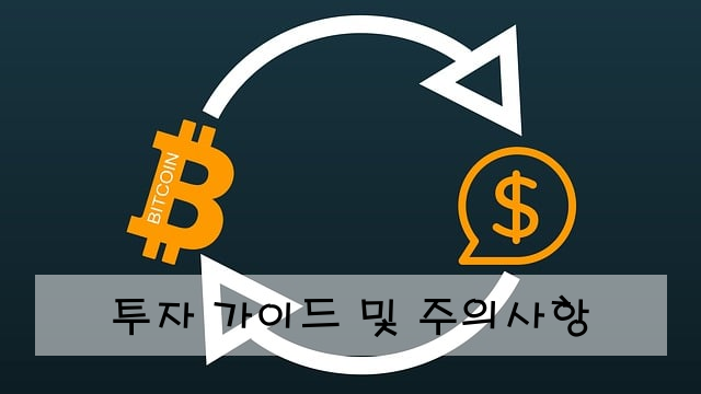 투자 가이드 및 주의사항