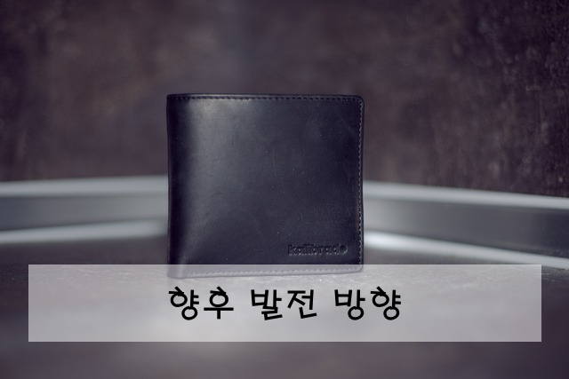 향후 발전 방향