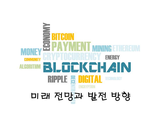 미래 전망과 발전 방향