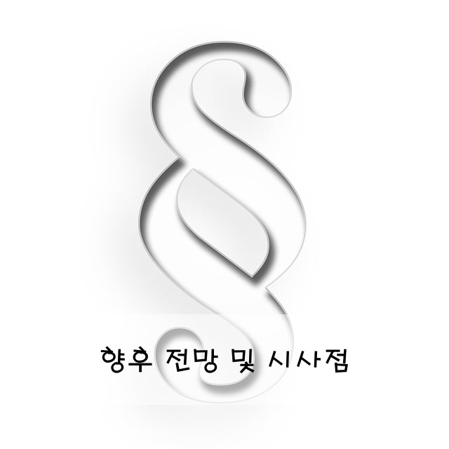 향후 전망 및 시사점