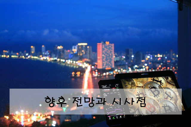 향후 전망과 시사점