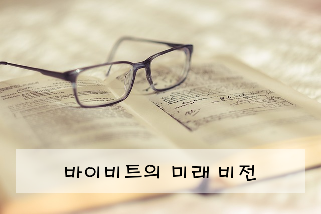 바이비트의 미래 비전