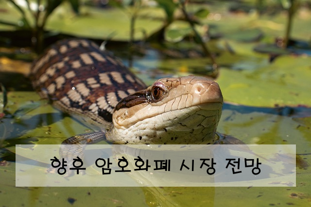 향후 암호화폐 시장 전망