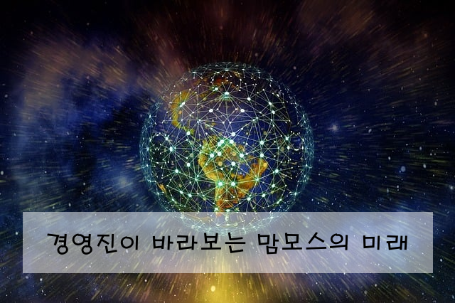 경영진이 바라보는 맘모스의 미래