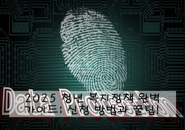 2025 청년 복지정책 완벽 가이드: 신청 방법과 꿀팁!