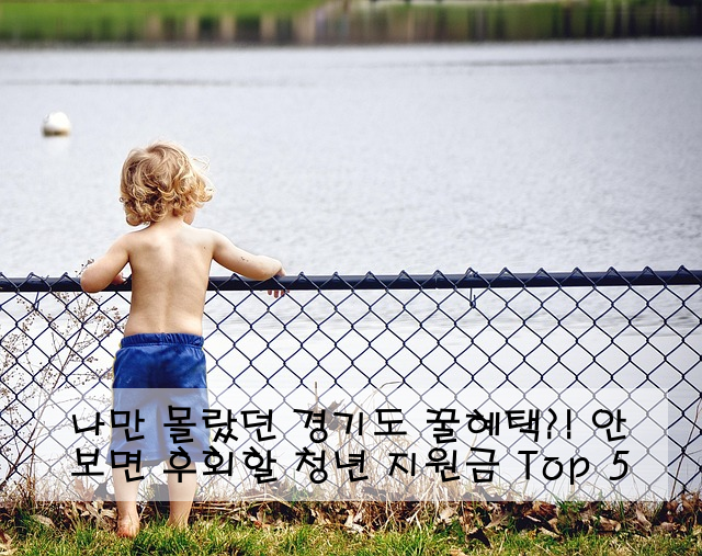나만 몰랐던 경기도 꿀혜택?! 안 보면 후회할 청년 지원금 Top 5