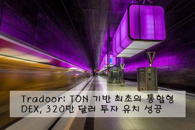 Tradoor: TON 기반 최초의 통합형 DEX, 320만 달러 투자 유치 성공