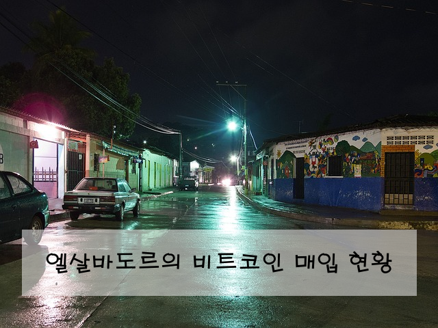 엘살바도르의 비트코인 매입 현황
