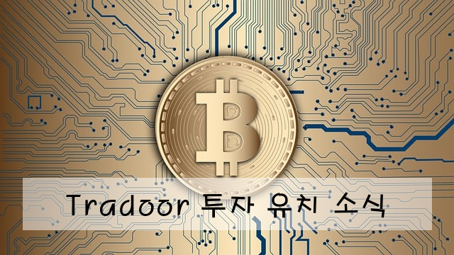 Tradoor 투자 유치 소식