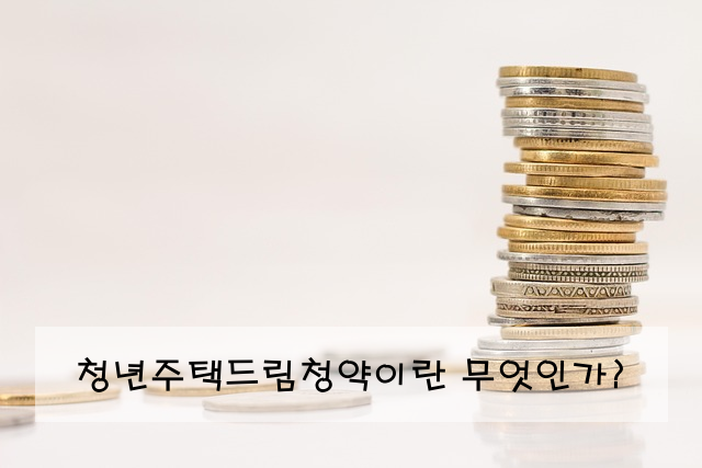 청년주택드림청약이란 무엇인가?