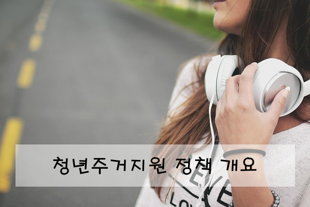 청년주거지원 정책 개요