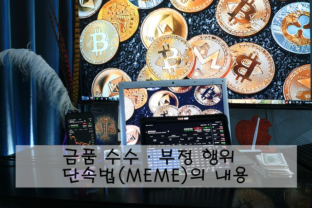 금품 수수·부정 행위 단속법(MEME)의 내용