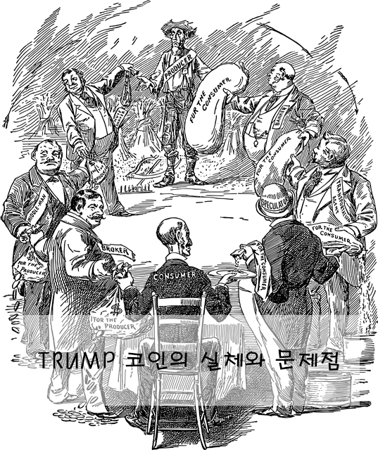 TRUMP 코인의 실체와 문제점