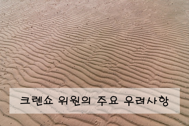 크렌쇼 위원의 주요 우려사항