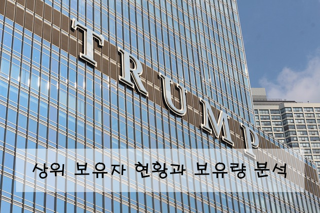 상위 보유자 현황과 보유량 분석