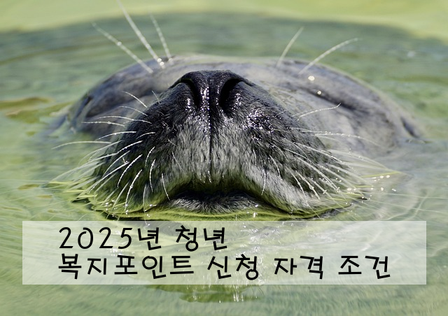2025년 청년 복지포인트 신청 자격 조건