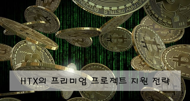 HTX의 프리미엄 프로젝트 지원 전략