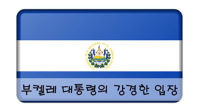 부켈레 대통령의 강경한 입장